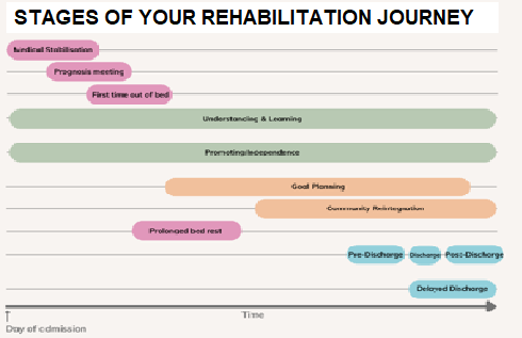 Stages of your rehabilitation journey
