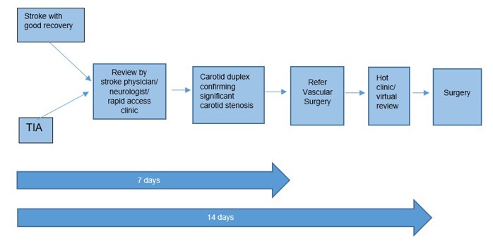 Flow chart outlining pathway recommendations for carotid endarterectomy