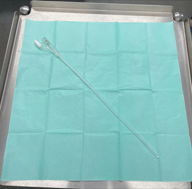 IDC and SP Catheter prior to inflation